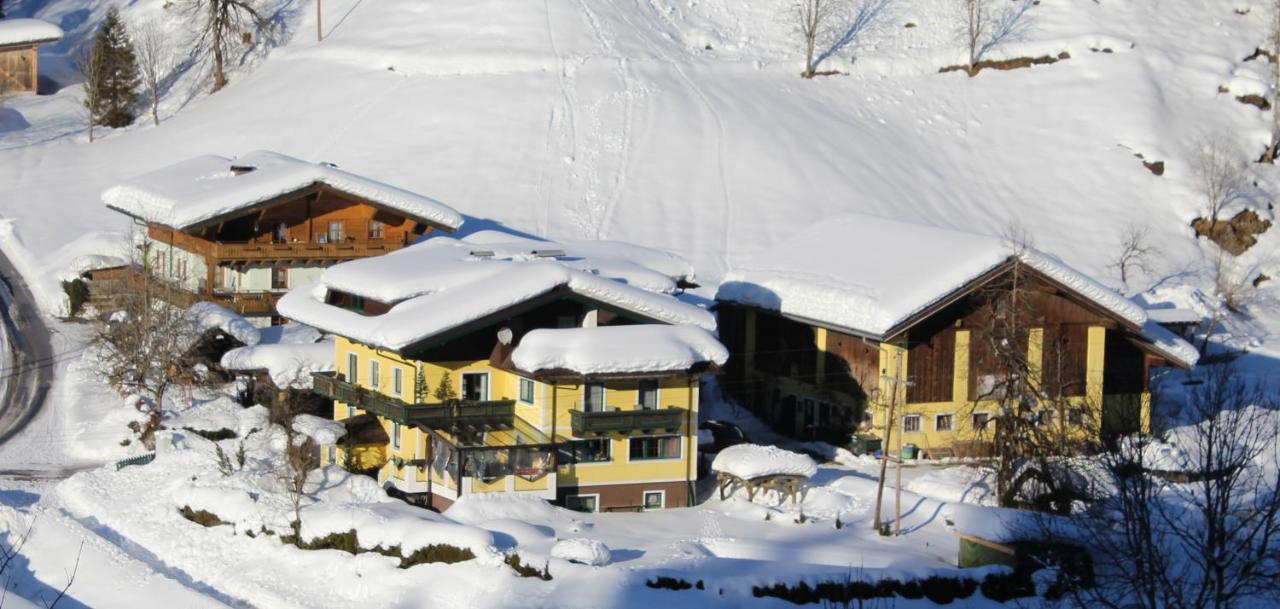 Schattaugut Eben Im Pongau Extérieur photo