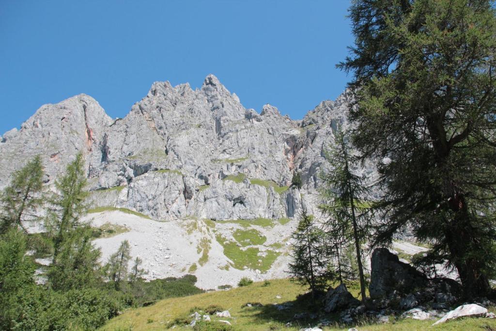 Schattaugut Eben Im Pongau Extérieur photo